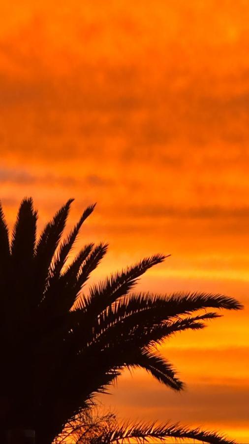 Ocean View Apartment With Large Terrace And Netflix Smart Tv Costa Adeje Buitenkant foto